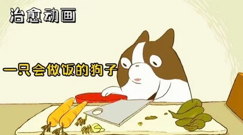 边做饭边被躁我和邻居的视频为什么轻松幽默的氛围治愈了大家的疲惫